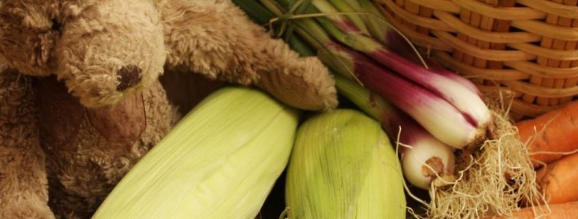 gesunde ernährung
